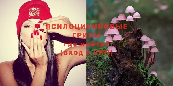 прущие крисы Армянск