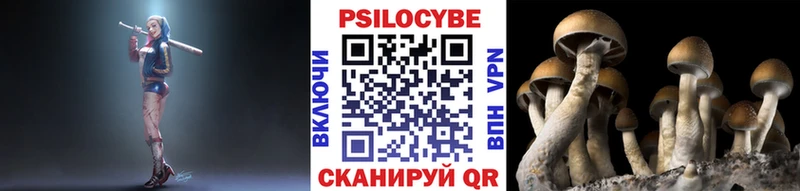 Купить  Саров  Галлюциногенные грибы мухоморы 
